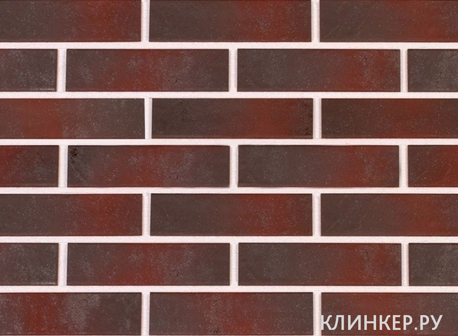 semir-rosa-nf_1