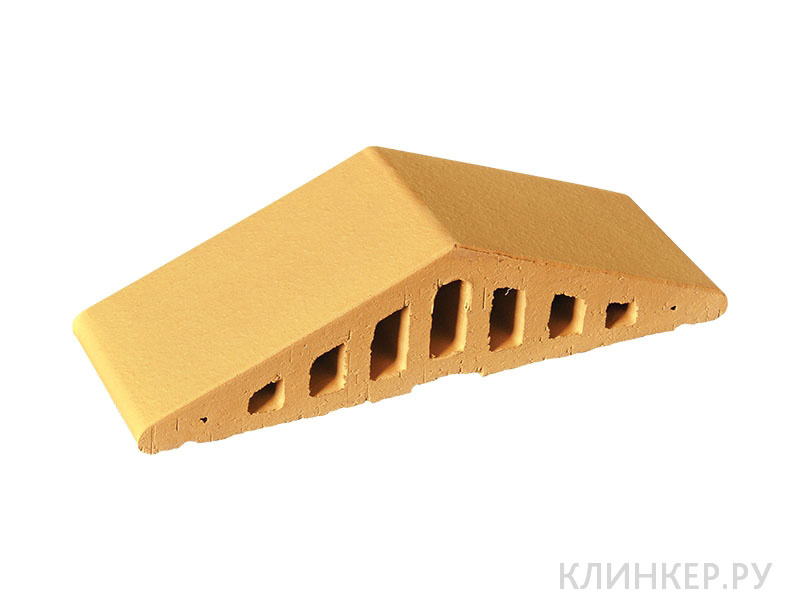 prof-pustinnaya-roza-10_310