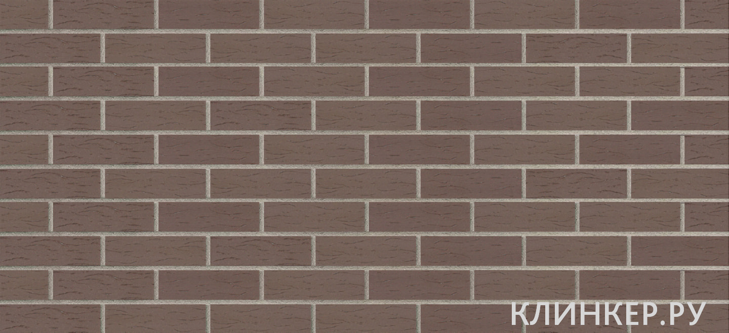 koro-brown-2201_1