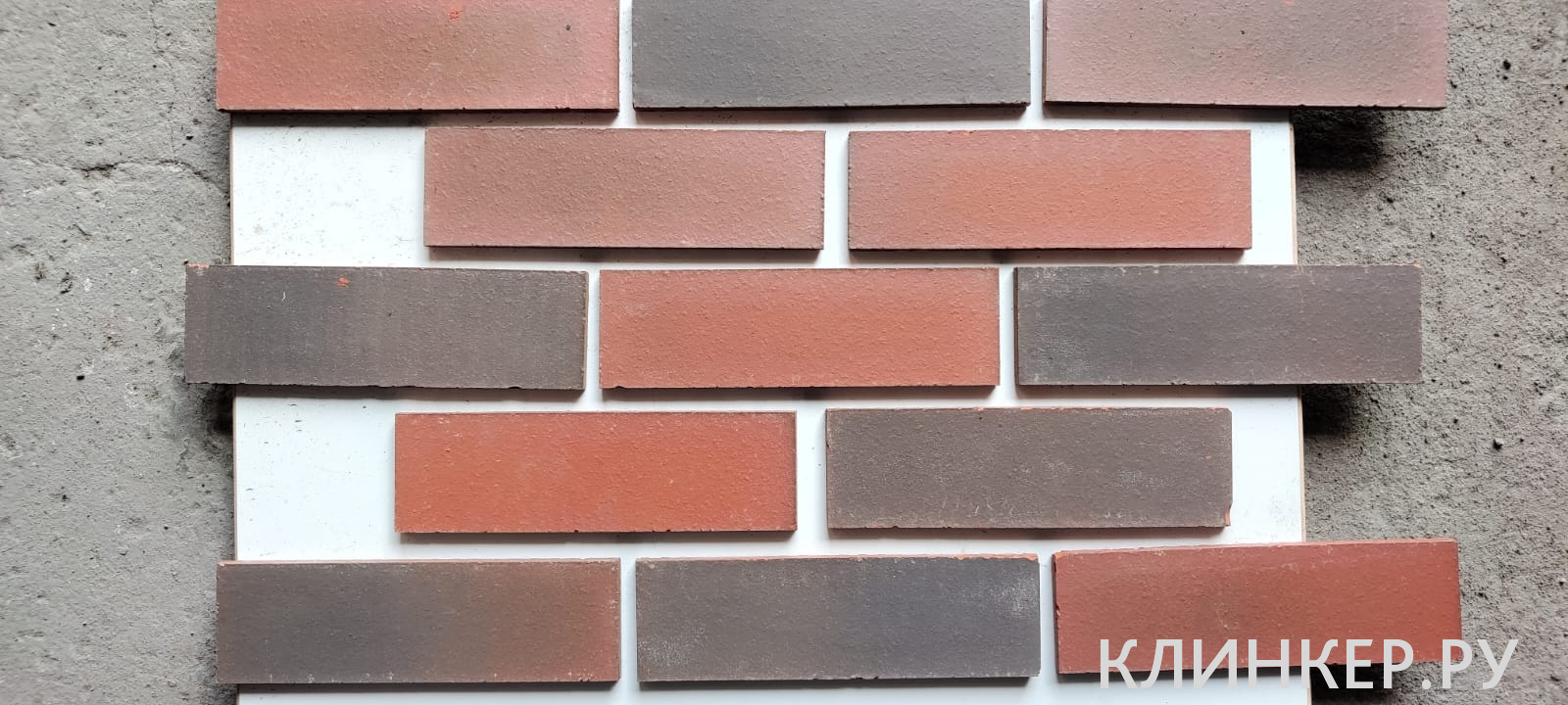 KingSP50