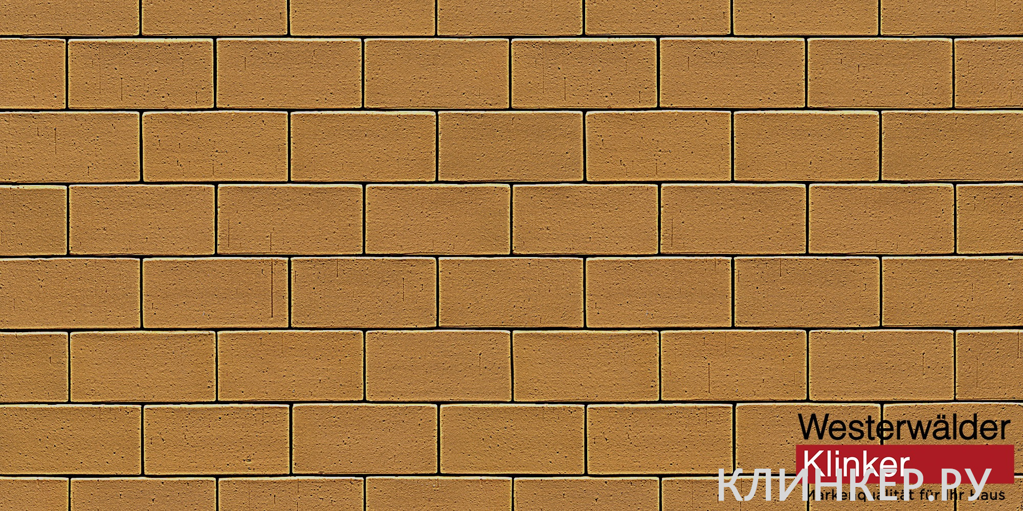 pk81-200x100x40