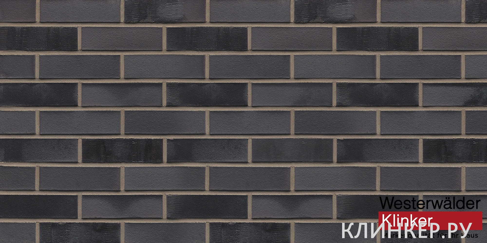wk815-modf40-1