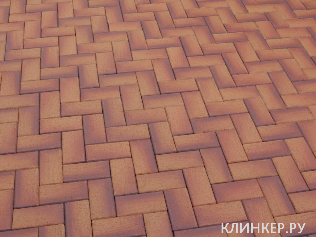 p249_1