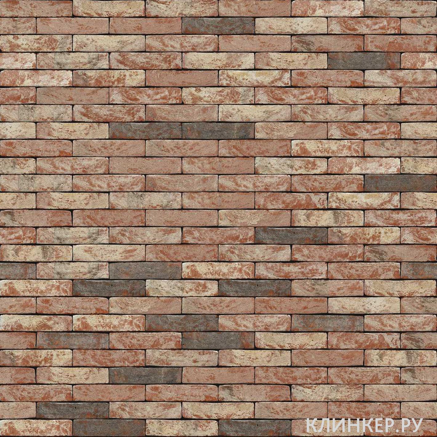 neo-barok_1