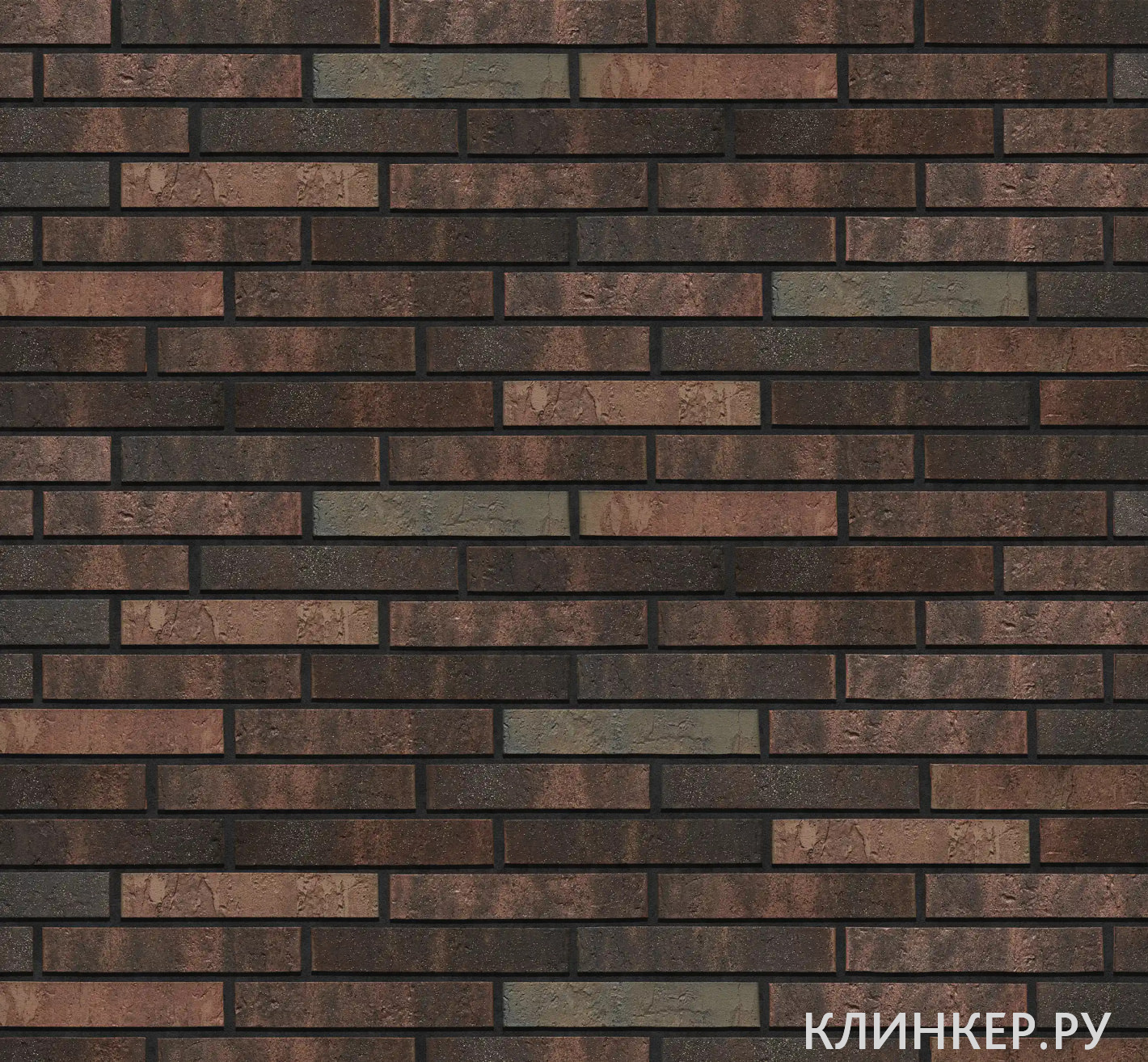 bryune-1_1