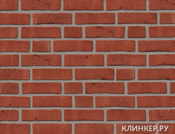rot-premium_11